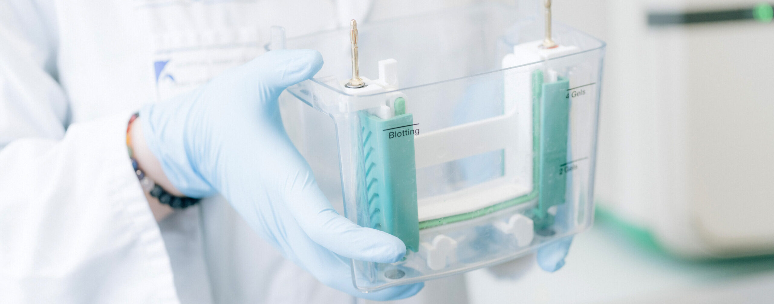 Laboratoire d’hématologie biologique, Michaela Fontenay