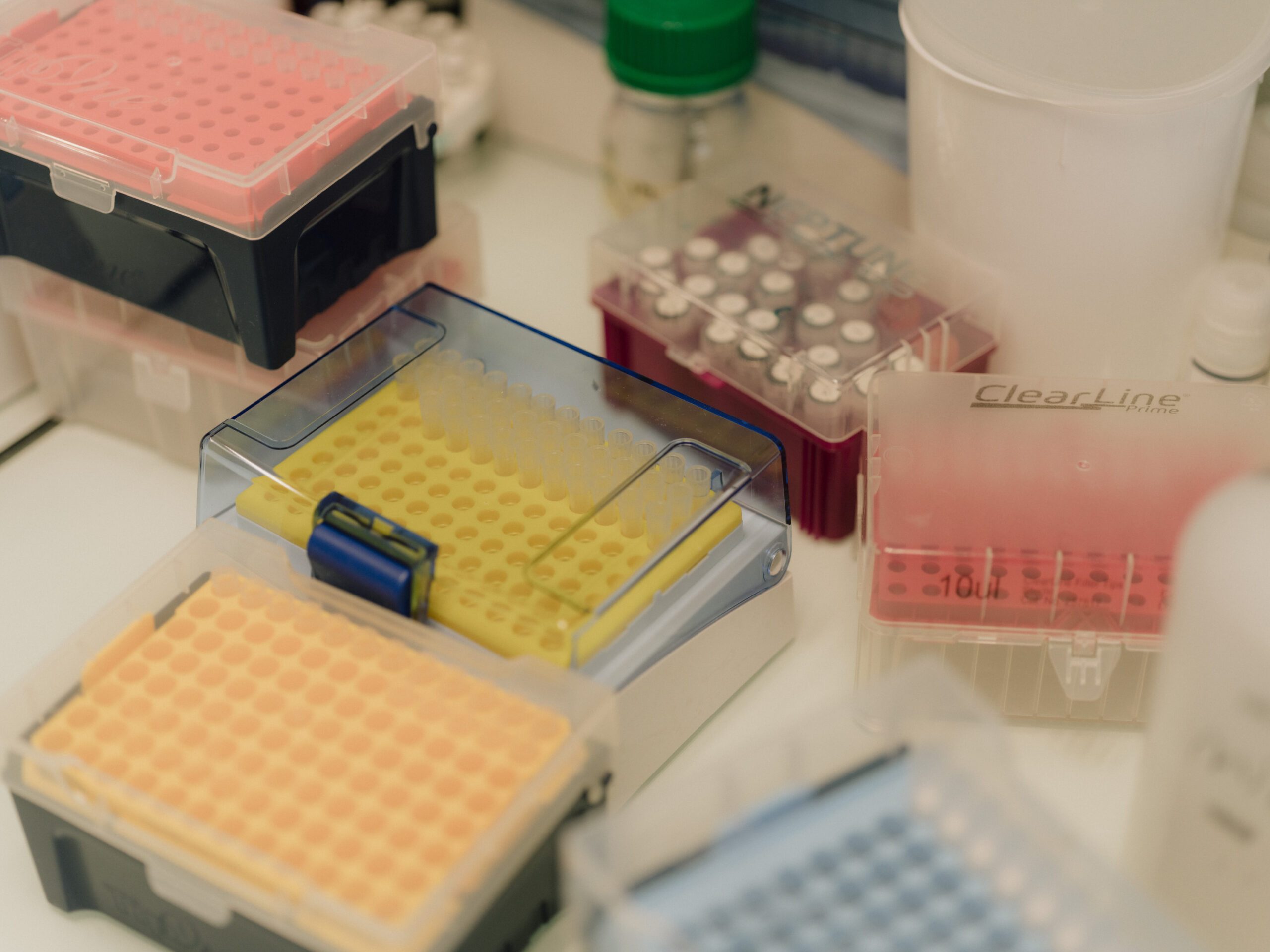 Niches lymphoïdes, chimiokines et syndromes immuno-hématologiques